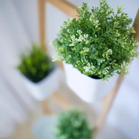 بيت للعطل Ferreras Canteras By Canariasgetaway *